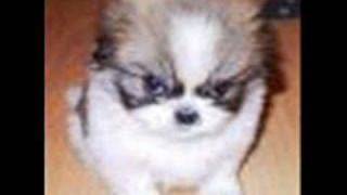 good bye in gasoline