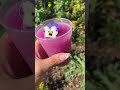 Frozen Violet Lemonade