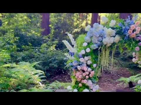 Promotional video thumbnail 1 for Mary Mei, Harpist for Events