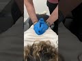 MOST SATISFYING CHIROPRACTIC ADJUSTMENT KING OF CRACKS Kingofcracks Shorts Asmr Chiropractor