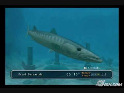 reel fishing angler's dream wii walkthrough