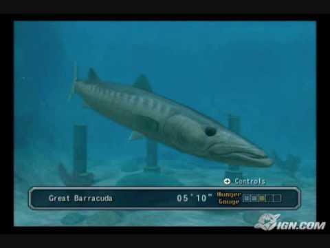 reel fishing angler's dream wii walkthrough