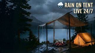 🌧️ Rain on Tent LIVE 24/7 | Rainy Forest Camping Sounds for Sleep & Relaxation ⛺ thumbnail