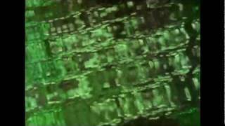 Patrick O'Hearn - So Flows The Current