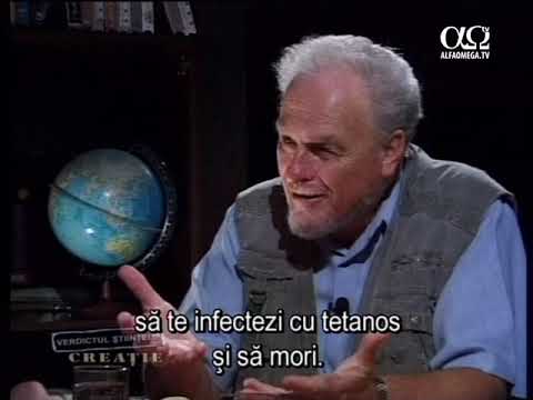 Verdictul științei: Creație 4.7