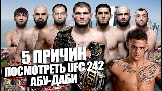 5 ПРИЧИН ПОСМОТРЕТЬ UFC 242 АБУ-ДАБИ: Хабиб Нурмагомедов, Дастин Порье, Махачев, Тухугов, Тайсумов.