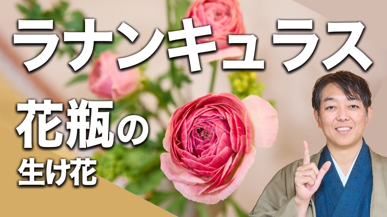 ラナンキュラスを花瓶に上手に生ける方法