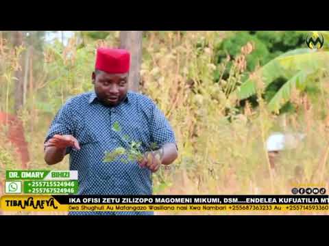 #KITOTA NI DAWA YA KUUA NA KUANGAMIZA #UCHAWI NA VYANZO VYAKE. By: #Dr Bihizi +255715524946
