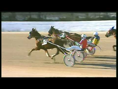 Trotto 16/02/2020 - 2ª corsa