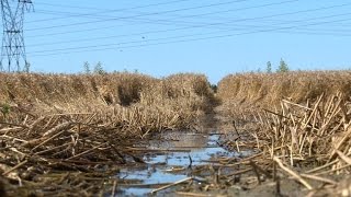 French farmers still reeling from floodwater damage