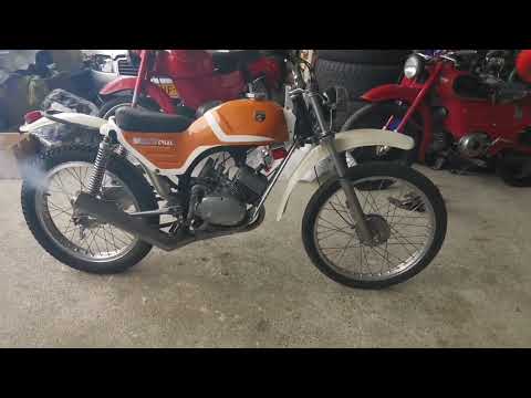 Gimson (Flandria) Trail