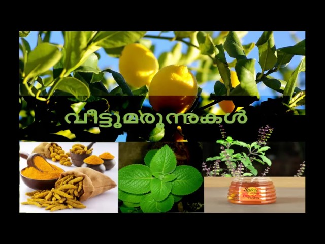 Home Remedies for Baby Cough Fever Colic | Kerala Ayurvedic Remedies