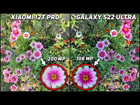 Xiaomi 12T Pro vs Samsung Galaxy S22 Ultra Camera Test
