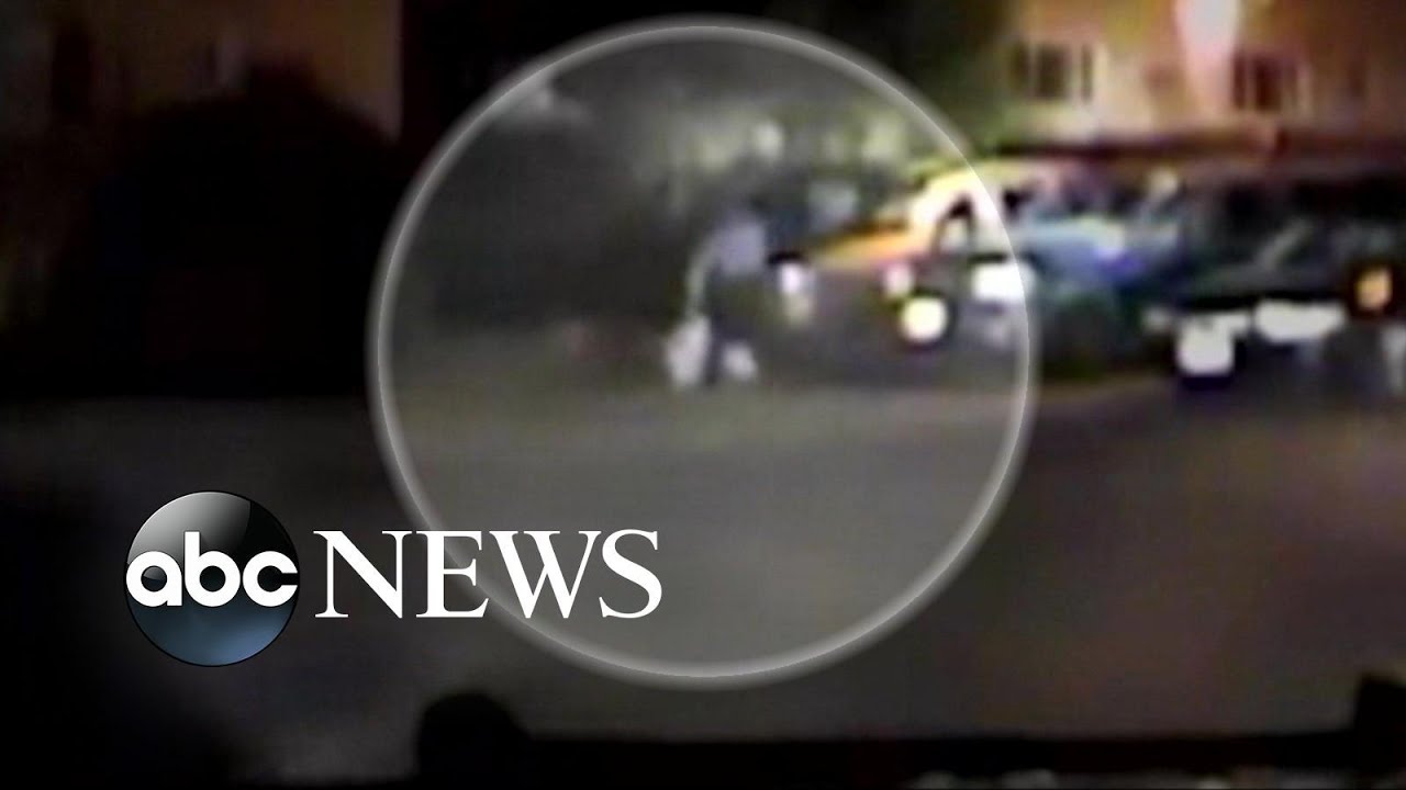 Violent Police Takedown Involving Police Dog and Unarmed Man