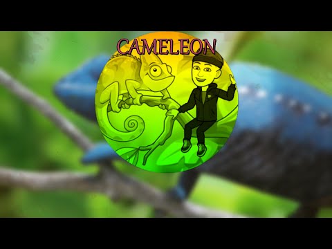 Ciprian Pricob - "CAMELEON" (Official Visual)