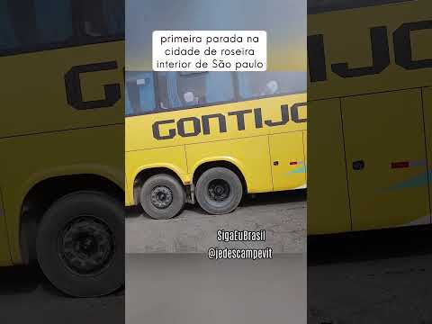roseira - primeira parada