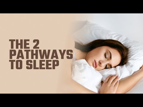 The 2 Pathways to Sleep