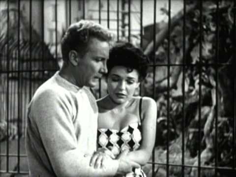 afbeelding Gorilla at Large