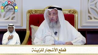 323 - قطع الأشجار للزينة - عثمان الخميس