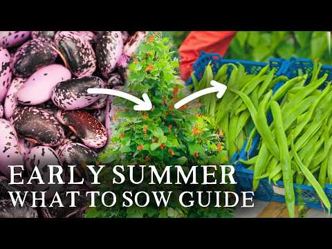 9 Fast-Growing Vegetables to Sow This June (Pack Your Garden with Food!)