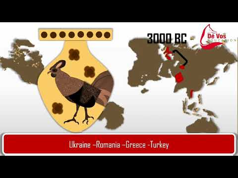 Domestication of the chicken : History and selective breeding