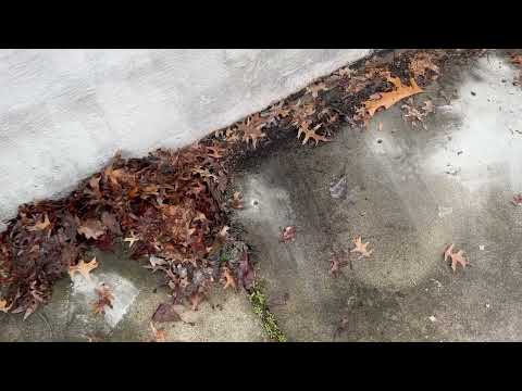 A Thorough Termite Treatment of Home in New...