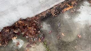 A Thorough Termite Treatment of Home in New Egypt, NJ