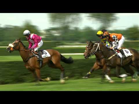 PE, 23. 6. 2019, 2. dostih - Cena Dostihového klubu