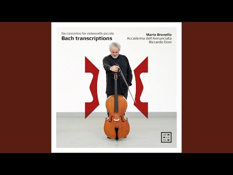 Harpsichord Concerto in D Major, BWV 972 (Transcr. for Violoncello piccolo, Strings and...