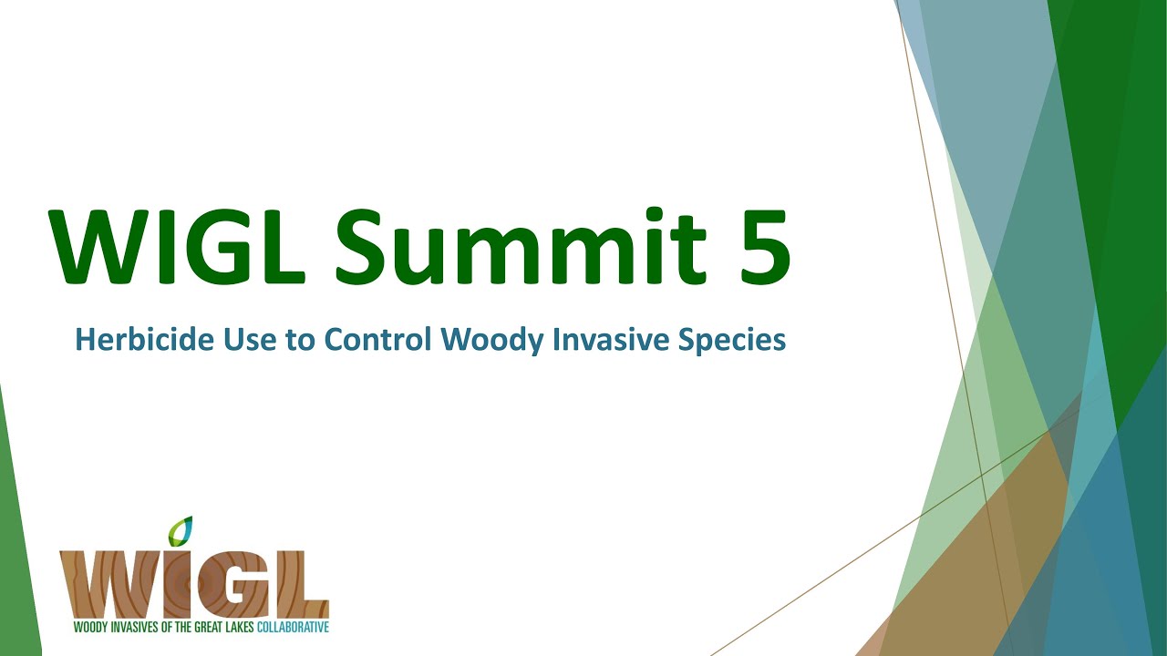 WIGL Summit 5  Herbicide Use to Control Woody Invasive Species