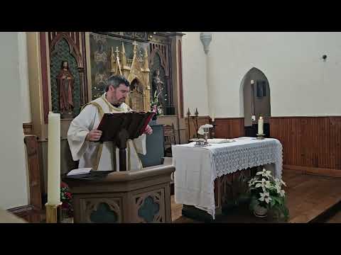 Thumbnail for SAN MIGEL 2024 (BERAMENDI)