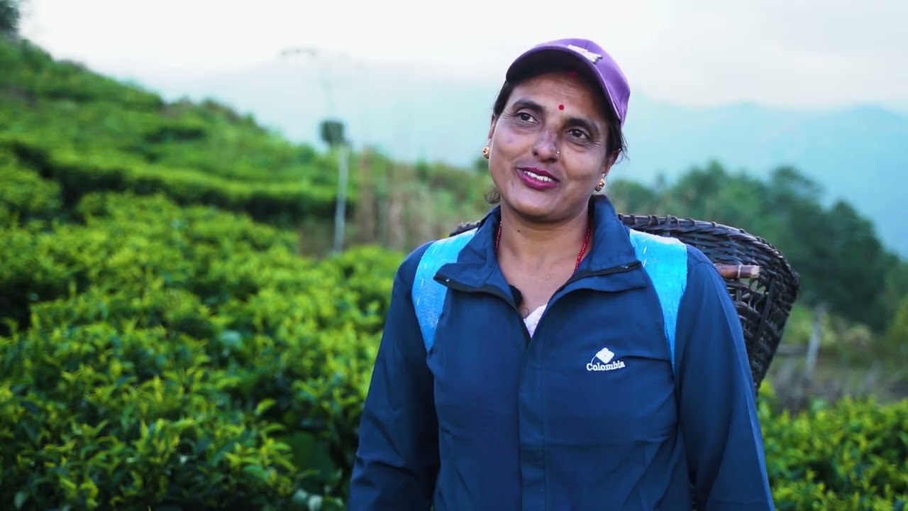 Story of change: Nepal's tea industry story