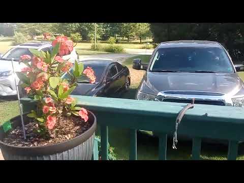 5/28/2022 review at my sister chan's home and garden!!!!