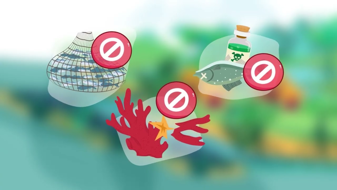 Initiative Kiwa - Pêcherie et Solutions fondées sur la Nature dans le Pacifique FR