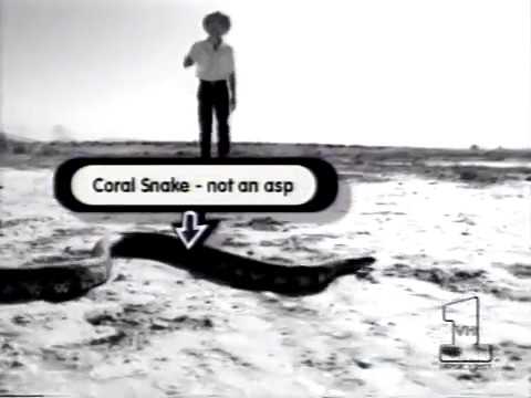 R.E.M. 1992 - 'Pop Up Video', VH-1 ('Man on The Moon' is featured)