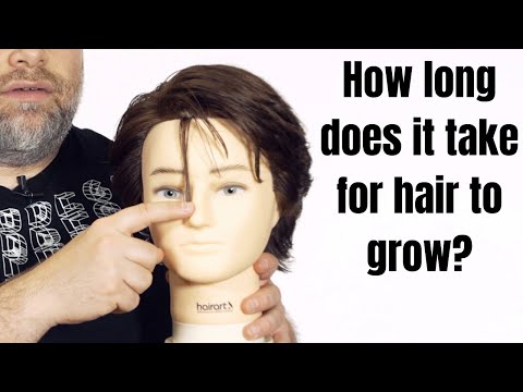 How Long Does it Take for Hair to Grow? - TheSalonGuy