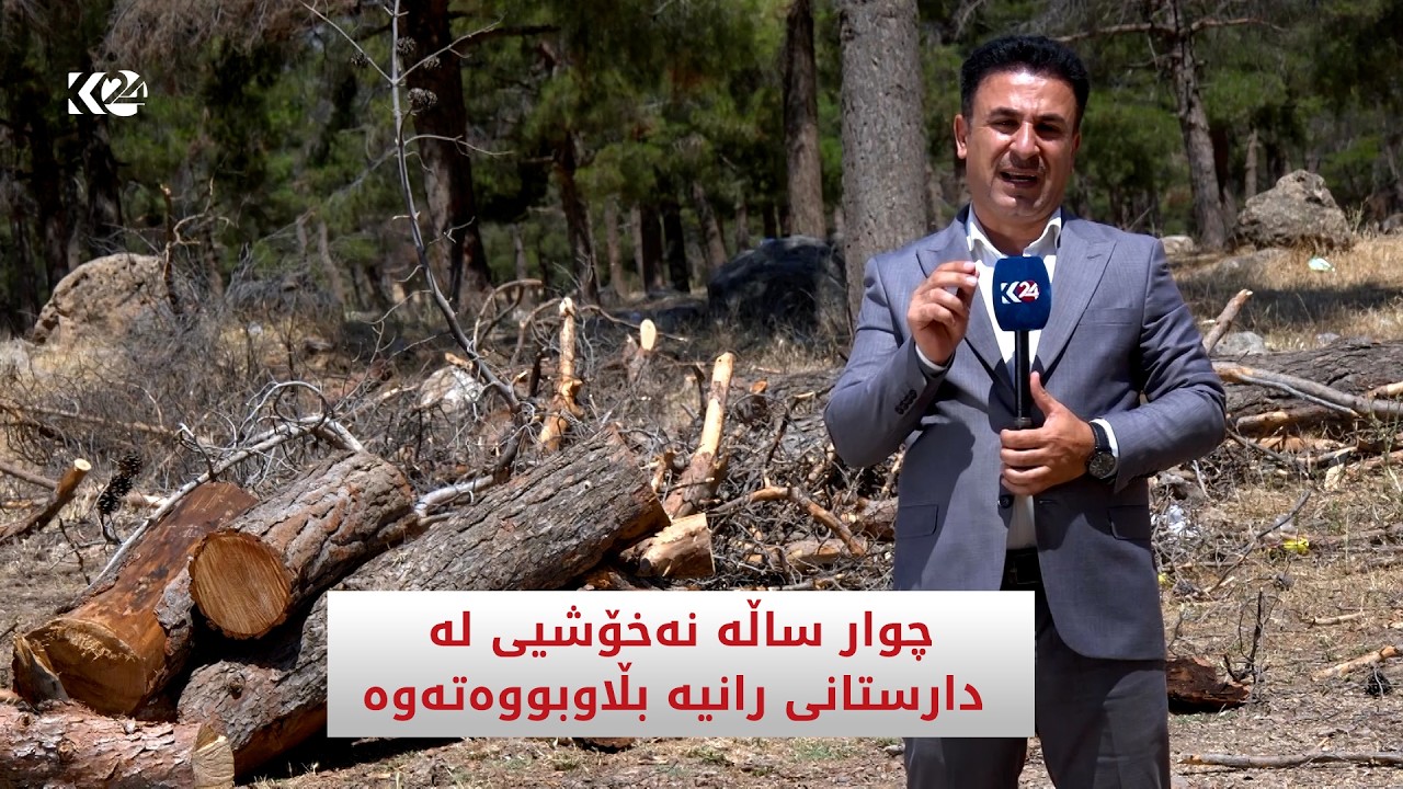 ڤیدیۆ | چوار ساڵە نەخۆشیی لە دارستانی رانیە بڵاوبووەتەوە
