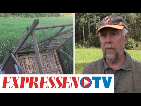 Allt fler jakttorn saboteras – Jägaren Torsten Nilsson drabbad