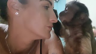 omw I have never seen them like this before