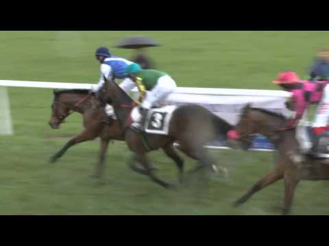 MI, 16. 4. 2016, 1. dostih - Cena firmy ROKOSPOL