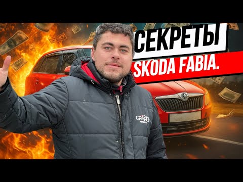 фото skoda fabia ii рестайлинг 0