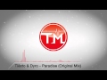 Tiësto & Dyro - Paradise (Original Mix)