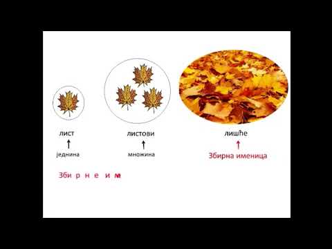 Zbirne imenice 3  razred