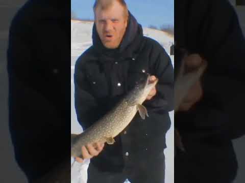 Last Nights Only Fish ?#Hashtag Ice Fishing ?