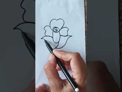 Beautiful and easy flower drawing