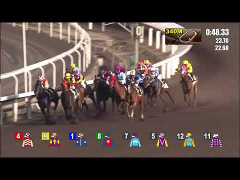 31/3/2021 (546) Little Thunder - K Teetan