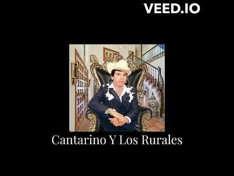 Chalino Sanchez IA - Catarino y Los Rurales