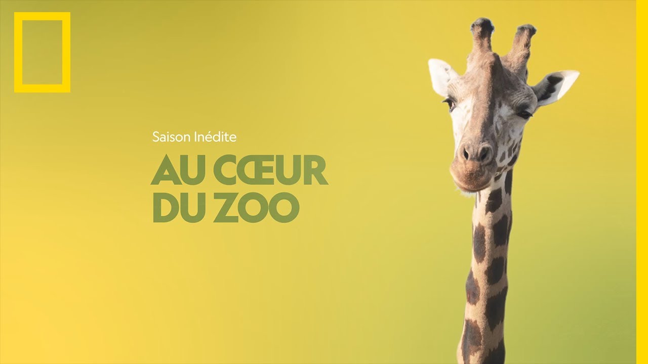 Au cœur du zoo | Bande annonce