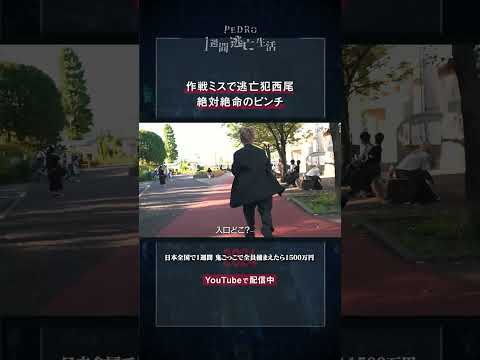 youtube-旅・海外記事2025/10/11 16:21:59