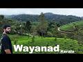 Wayanad Kerala S Beautiful Hill Station Exploring During The Monsoon